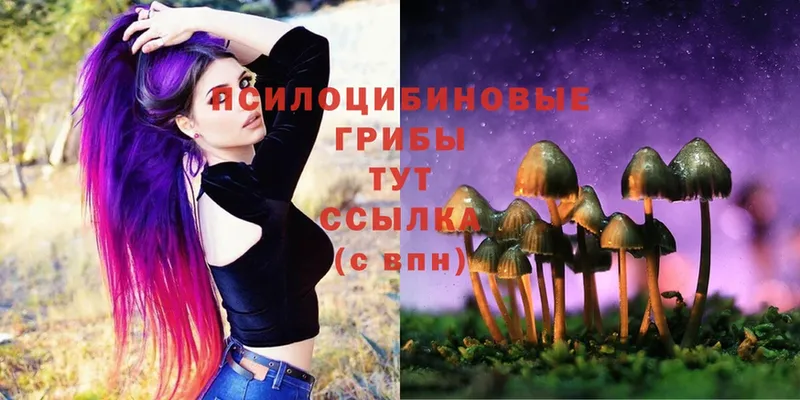 Псилоцибиновые грибы Cubensis  блэк спрут зеркало  Кимры 